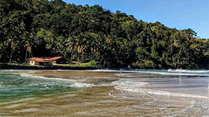 Serene beach scene with gentle waves lapping at the shore, lush greenery, and a quaint cottage nestled among palm trees.